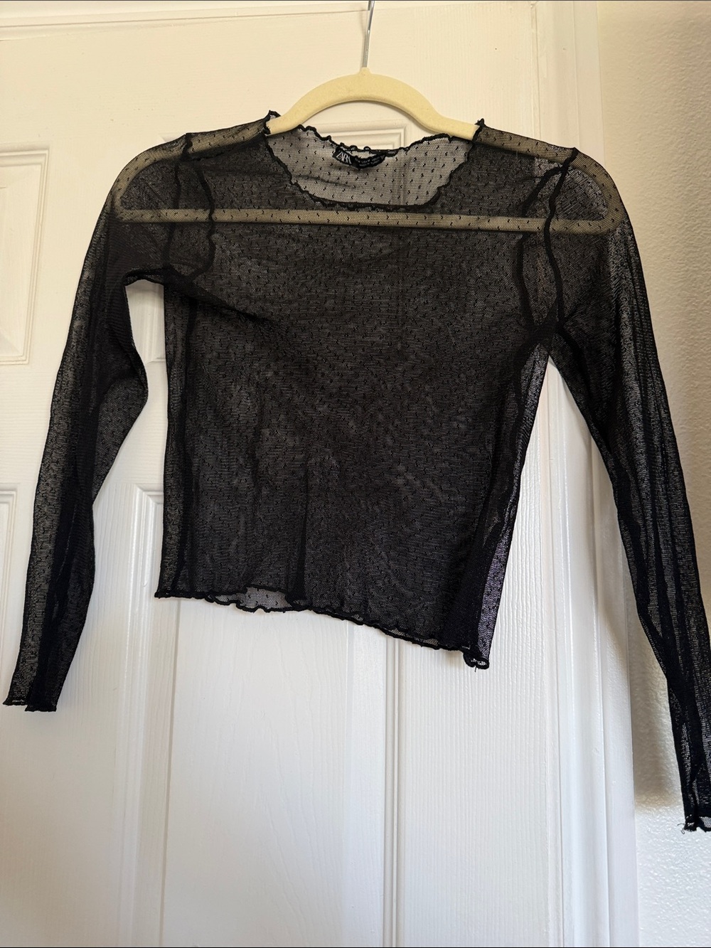 Zara Black Sheer Long-Sleeve Mesh Top